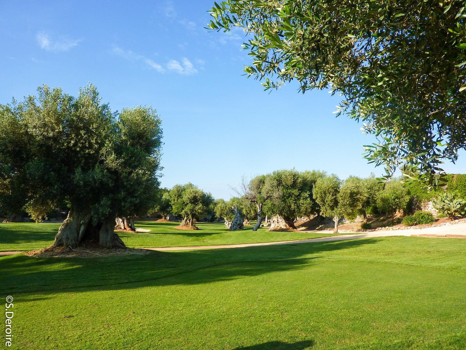 Masseria Torre Coccaro - Terroir Evasion Masseria Torre Coccaro