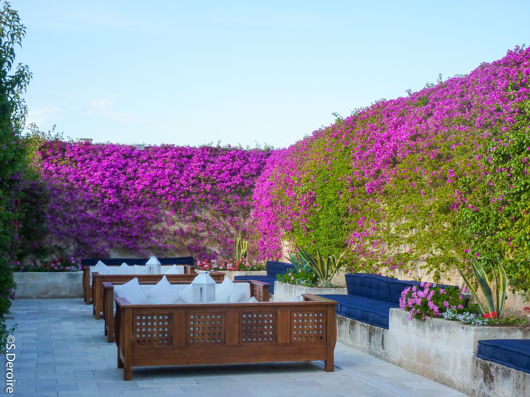  Torre Coccaro Salon - Terroir Evasion