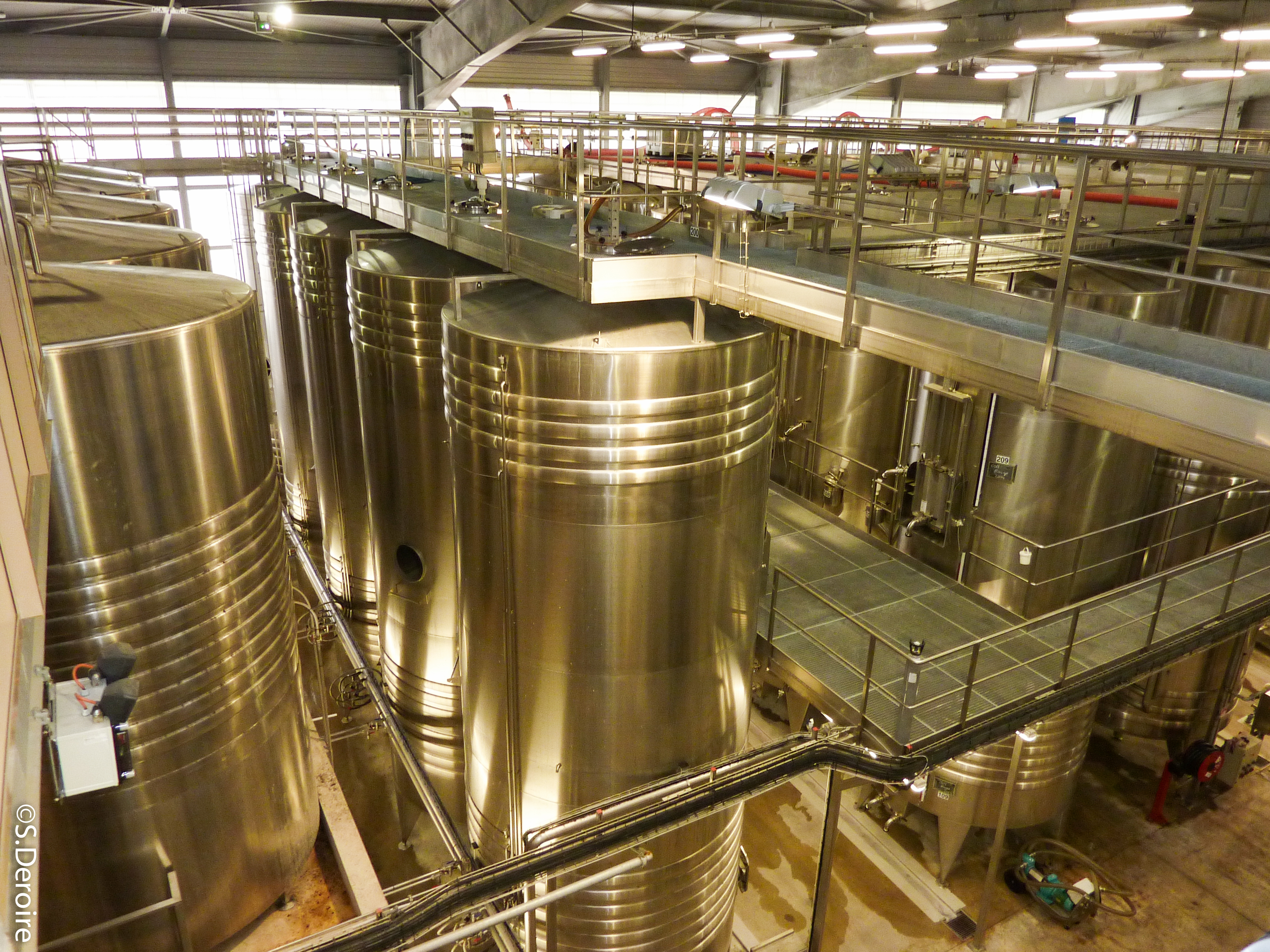 Cave Terres des Templiers - Cuverie Mas Ventoux 