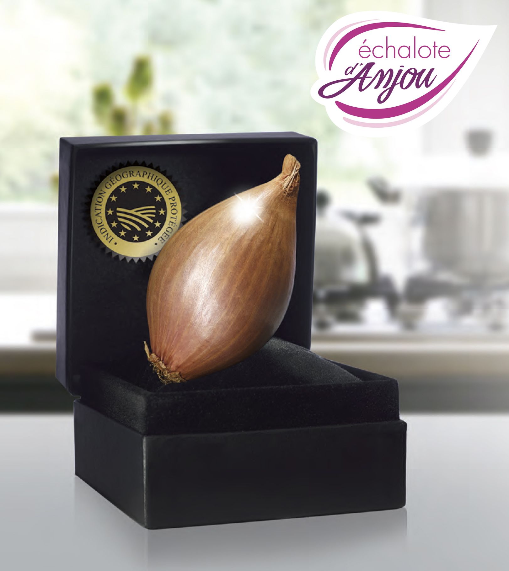 Echalote d'Anjou - Un bijou en cuisine