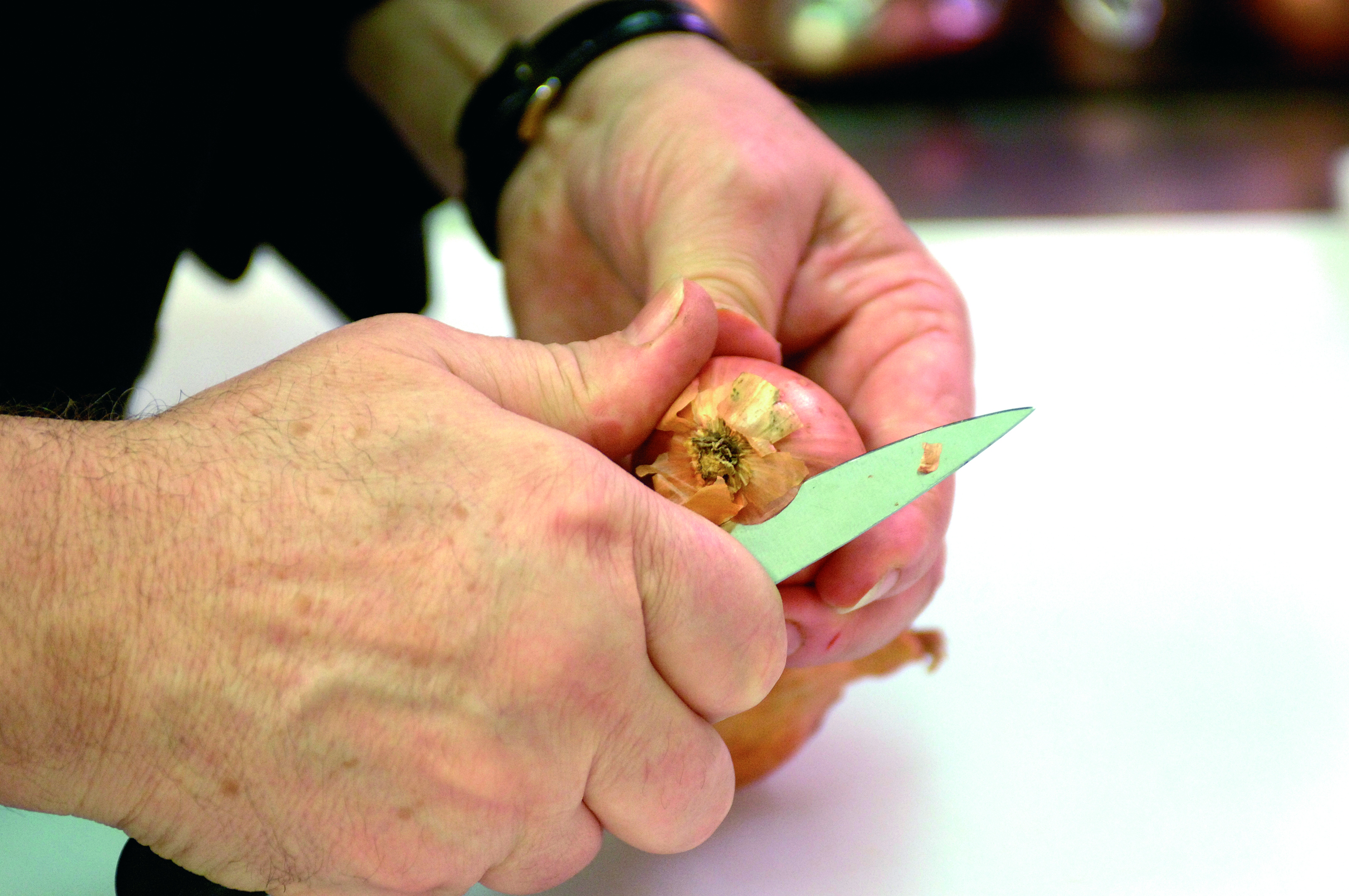 Echalote GESTE1TerroirEvasion.com