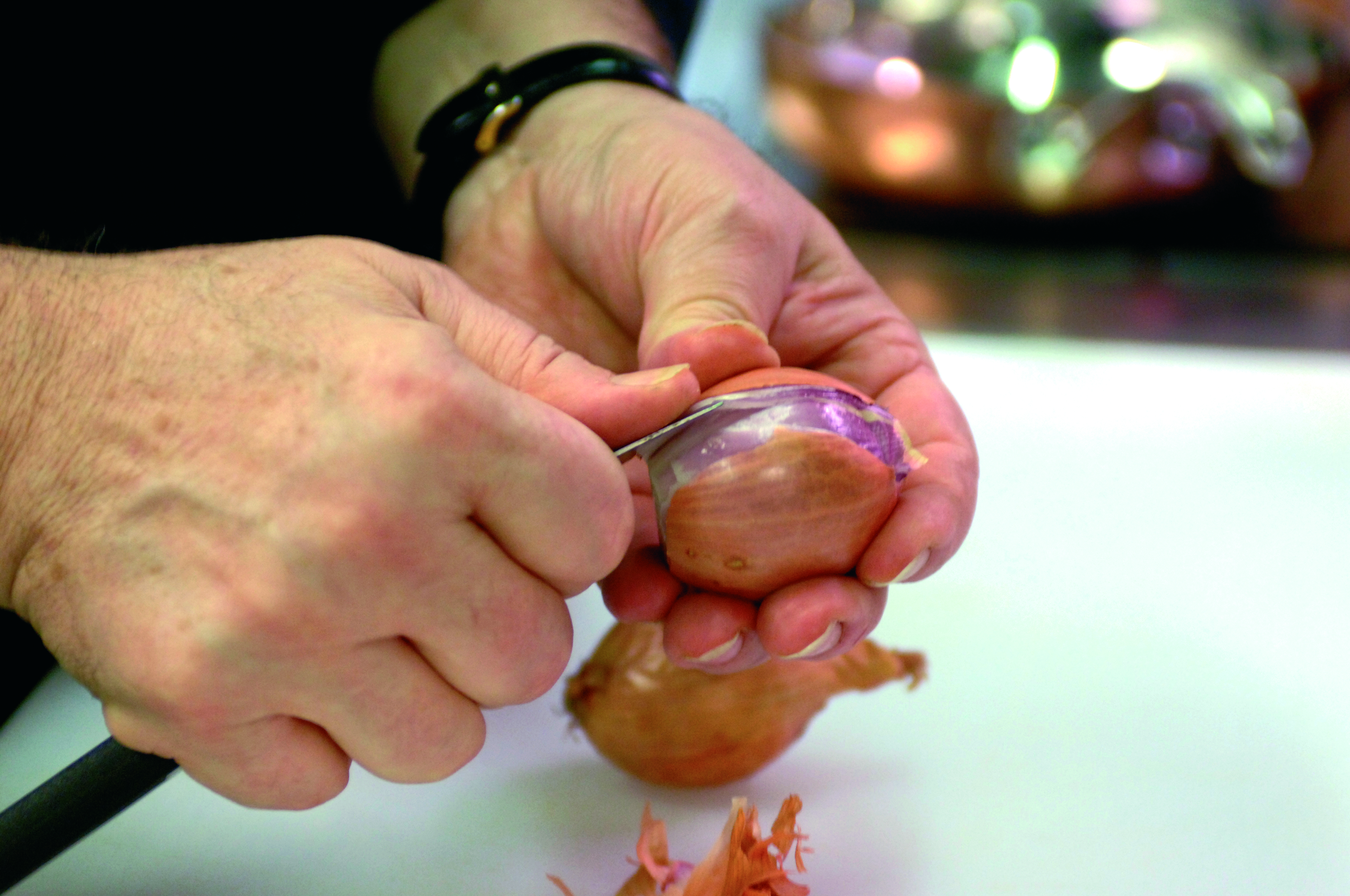 Echalote GESTE2 TerroirEvasion.com