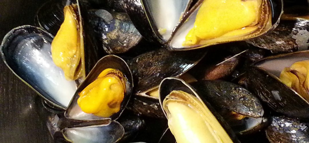 Moules de Bouchot de la Baie du Mont Saint Michel AOP divines