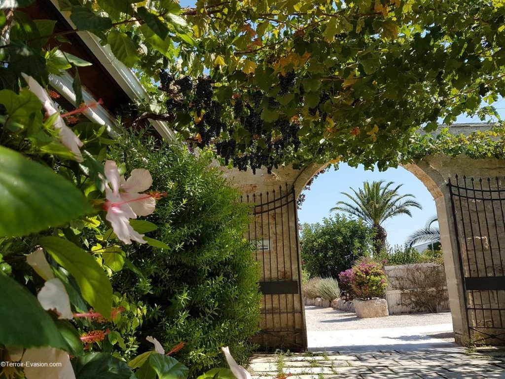 Pouilles pergola Masseria Maizza