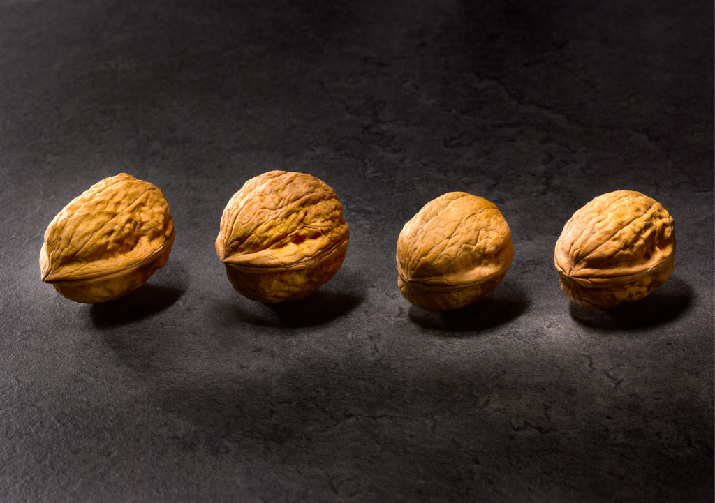 Noix du Périgord variétés